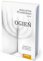 Ogień. Komentarze do Ewangelii św. Mateusza