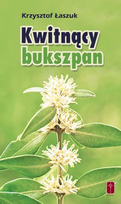 Kwitnący Bukszpan